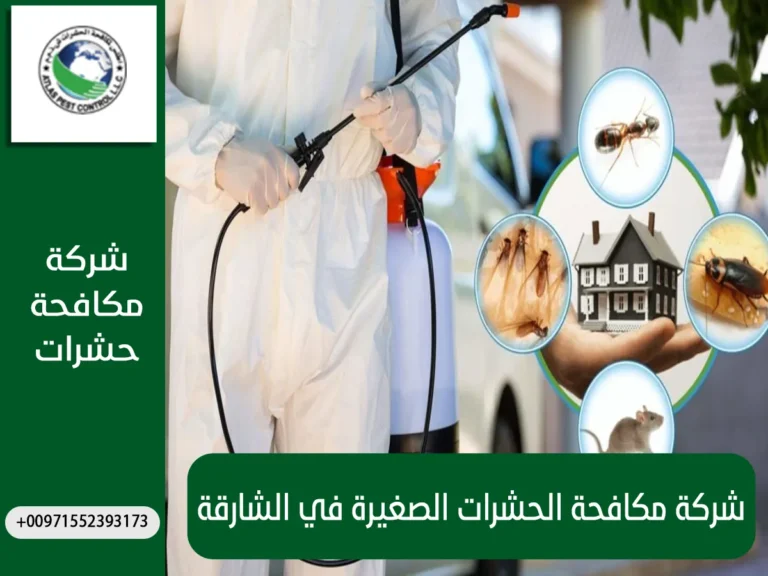 شركة مكافحة الحشرات الصغيرة في الشارقة
