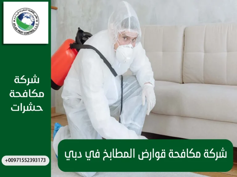 شركة مكافحة قوارض المطابخ في دبي