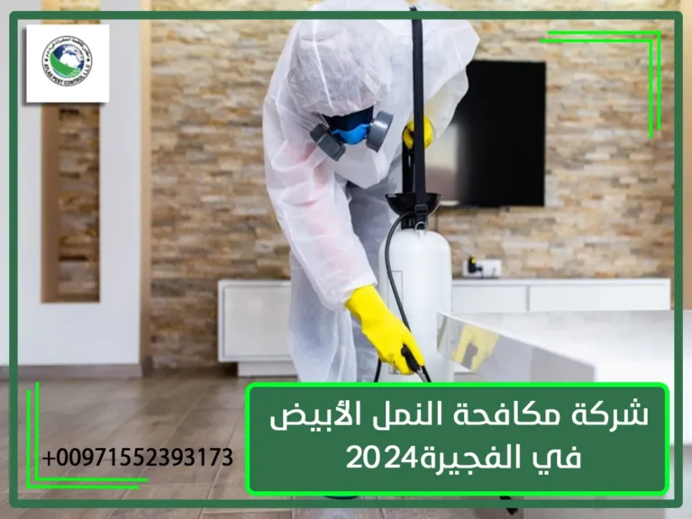 شركة مكافحة النمل الأبيض في الفجيرة-2024