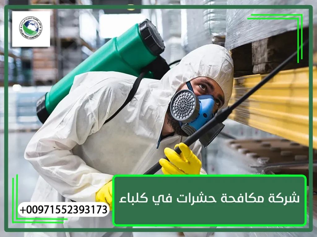 شركة مكافحة حشرات في كلباء