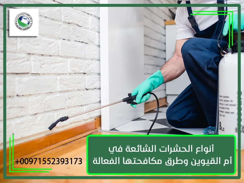 أنواع الحشرات الشائعة في أم القيوين وطرق مكافحتها الفعالة