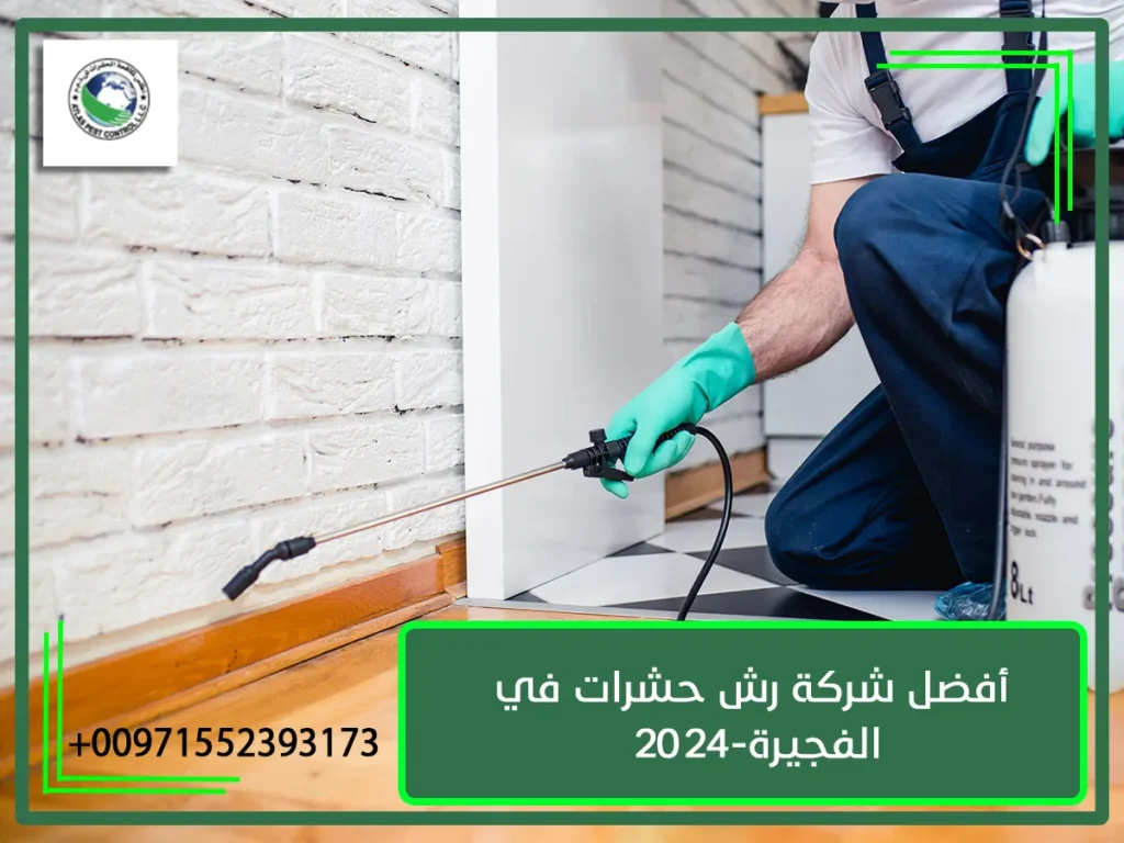 أفضل شركة رش حشرات في الفجيرة-2024