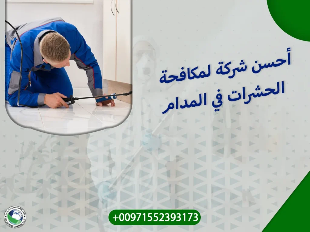 أحسن شركة لمكافحة الحشرات في المدام