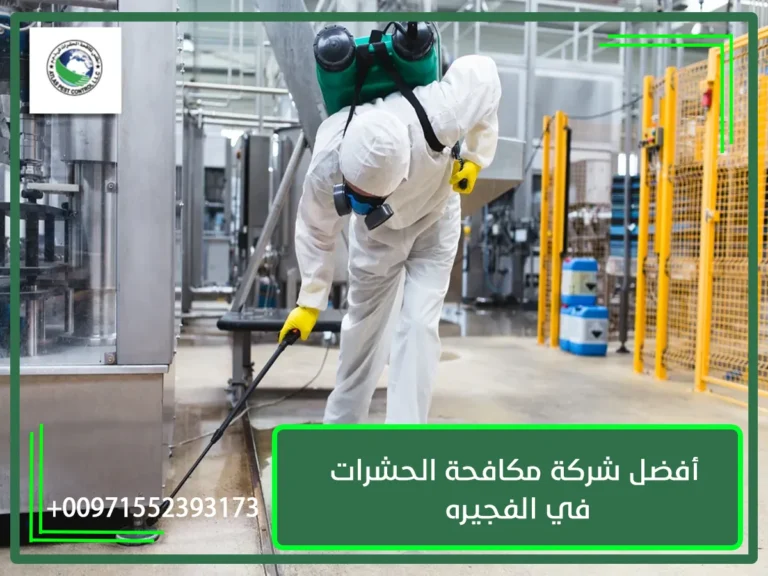 أفضل شركة مكافحة الحشرات في الفجيره
