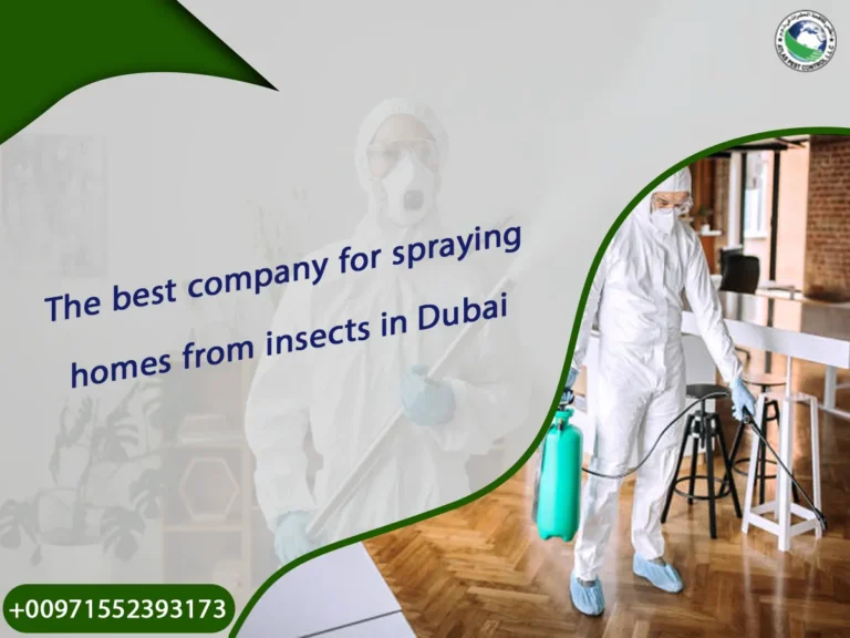 The best company for spraying homes from insects in Dubai