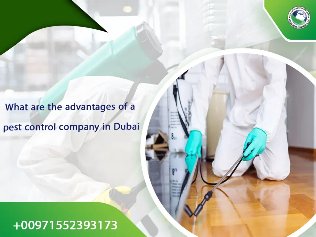 What are the advantages of a pest control company in Dubai