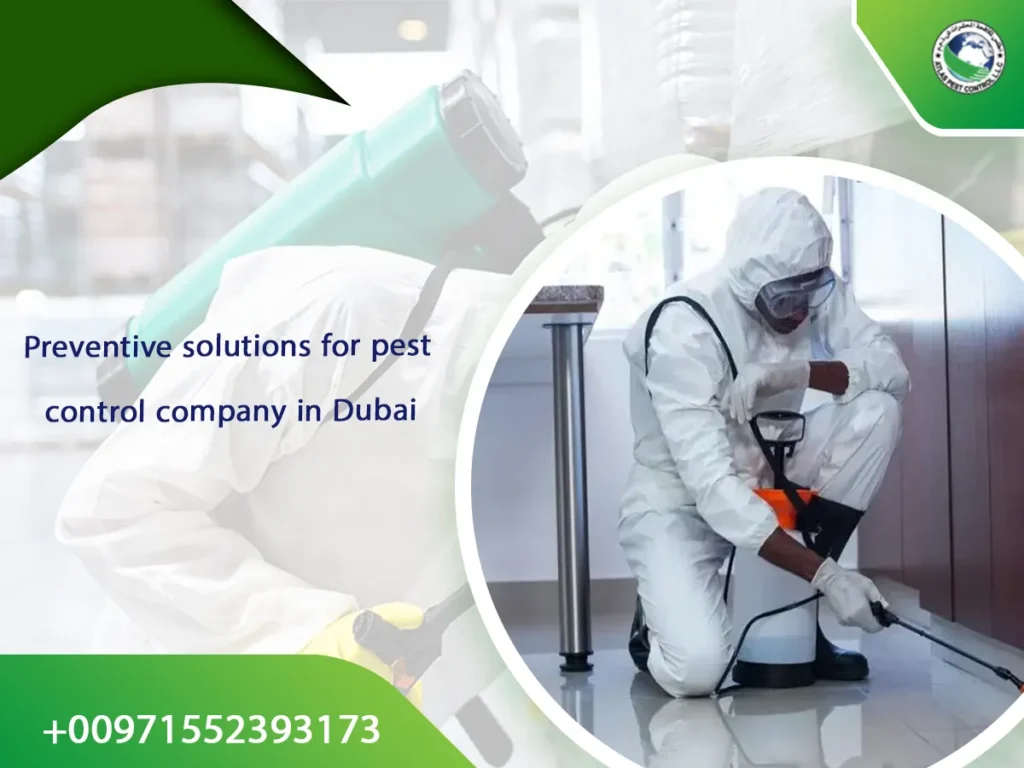 Preventive solutions for pest control company in Dubai