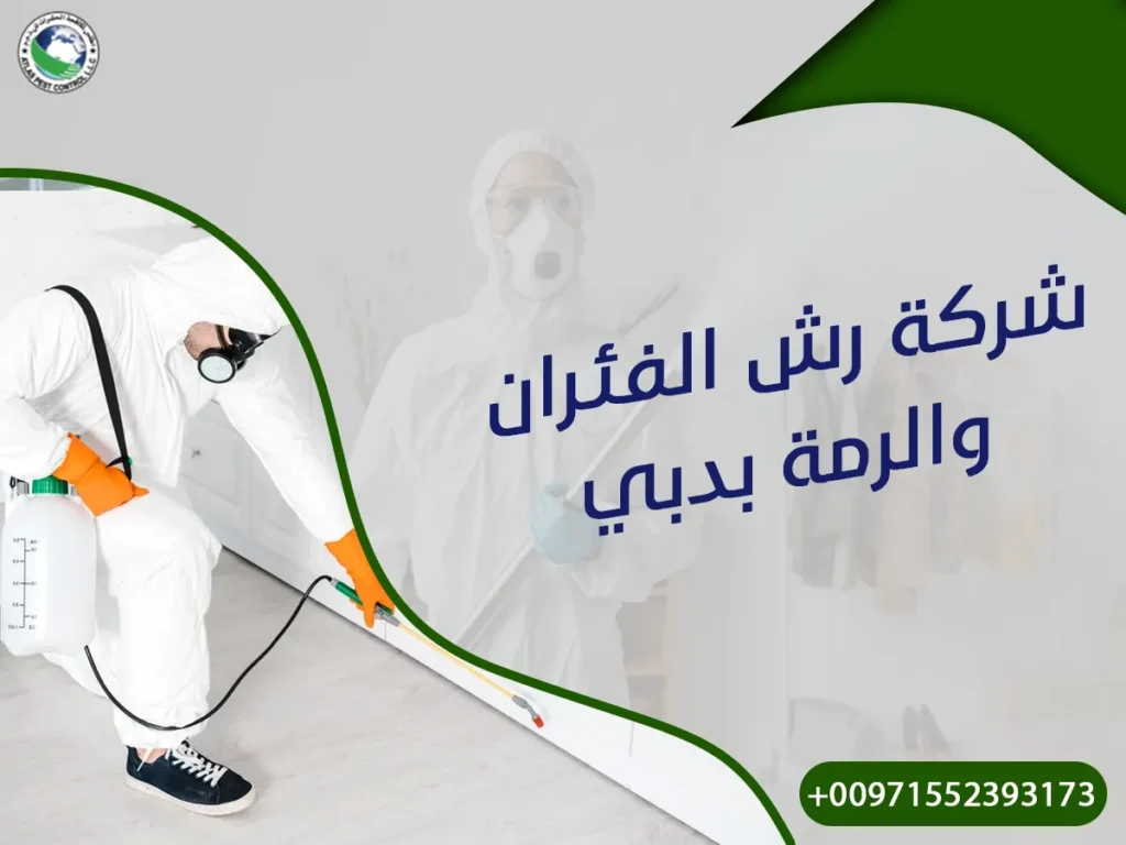 شركة رش الفئران والرمة بدبي