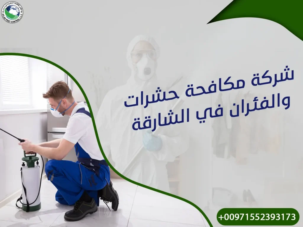 شركة مكافحة حشرات والفئران في الشارقة