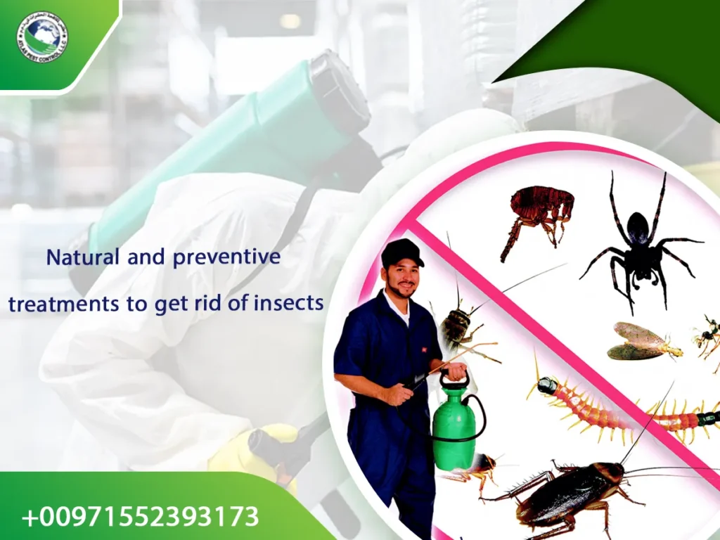 Natural and preventive treatments to get rid of insects