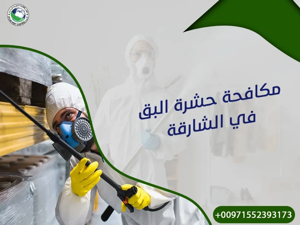 مكافحة حشرة البق في الشارقة