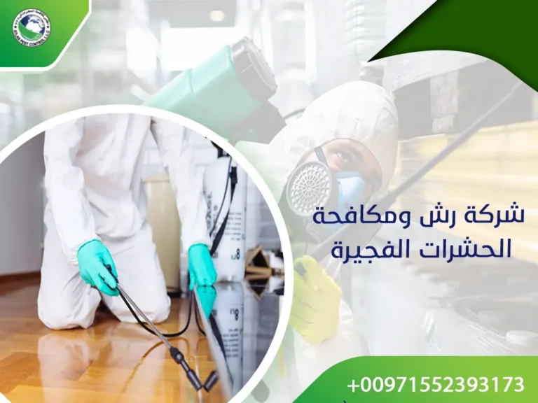 شركة رش ومكافحة الحشرات في الفجيرة