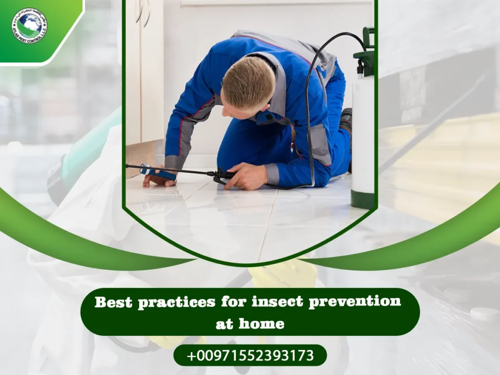 Best practices for insect prevention at home