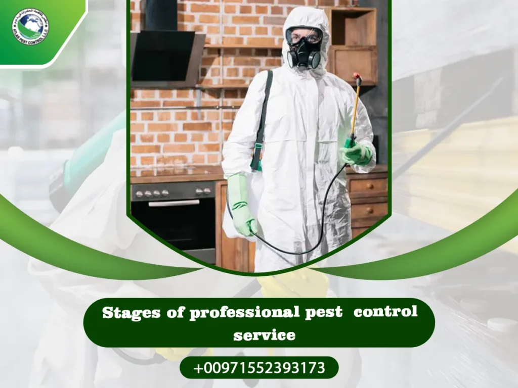 Stages of professional pest control service