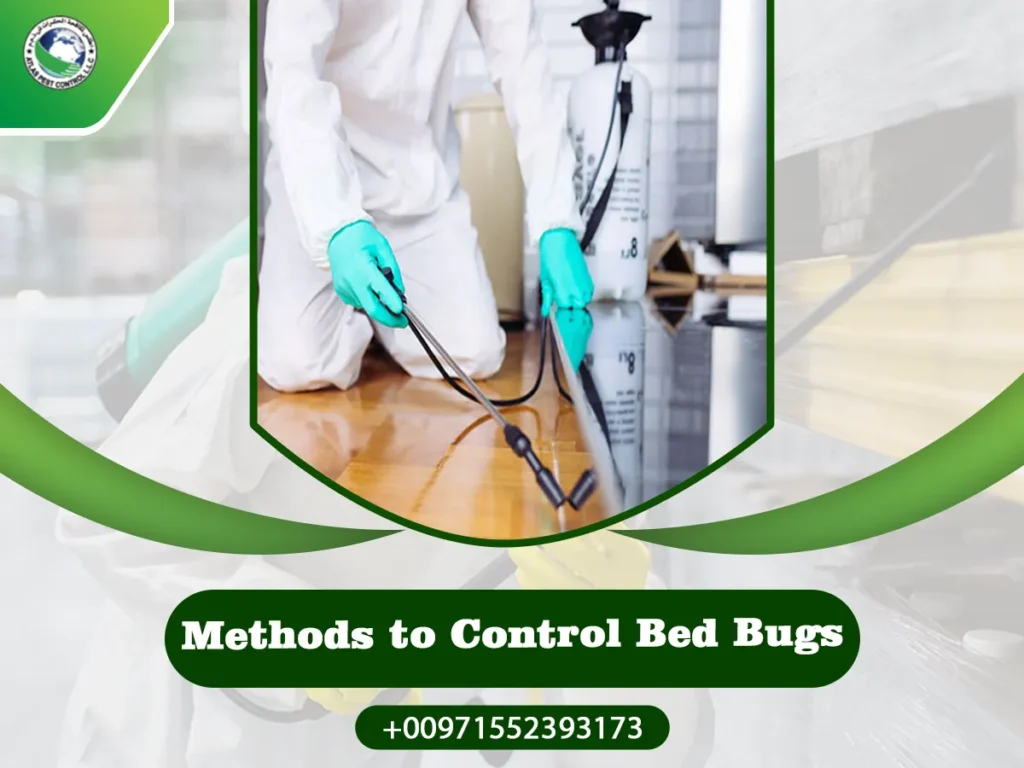 Methods to Control Bed Bugs