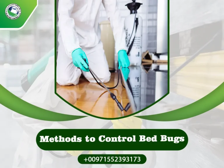 Methods to Control Bed Bugs