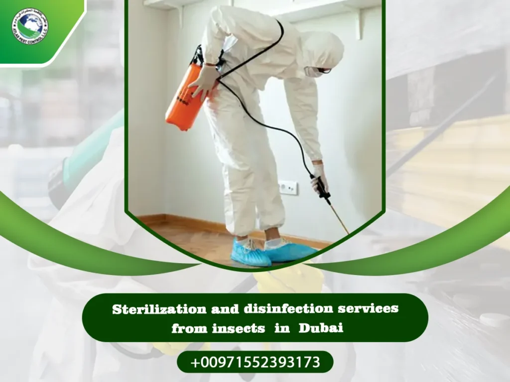 Sterilization and disinfection services from insects in Dubai