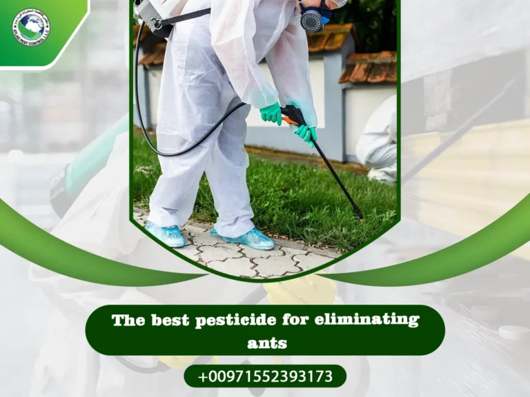 The best pesticide for eliminating ants