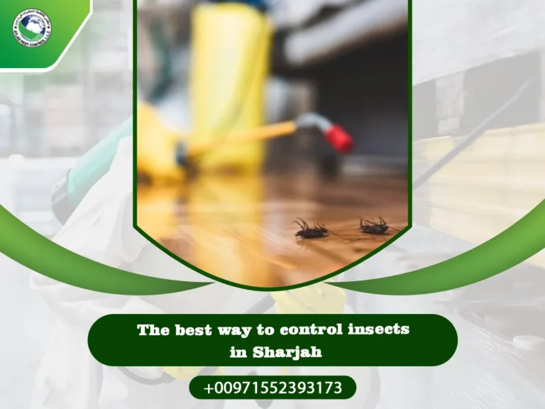 The best way to control insects in Sharjah