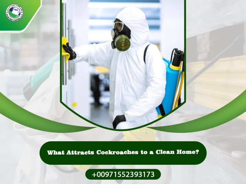 What Attracts Cockroaches to a Clean Home?