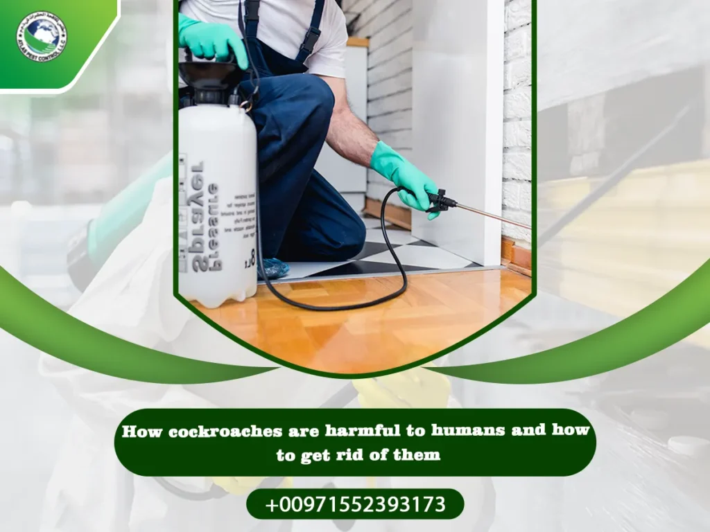 How harmful are cockroaches to humans