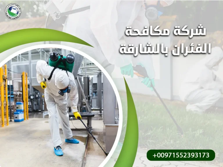 شركة مكافحة الفئران بالشارقة