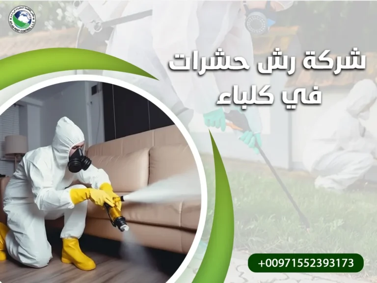 شركة رش حشرات في كلباء