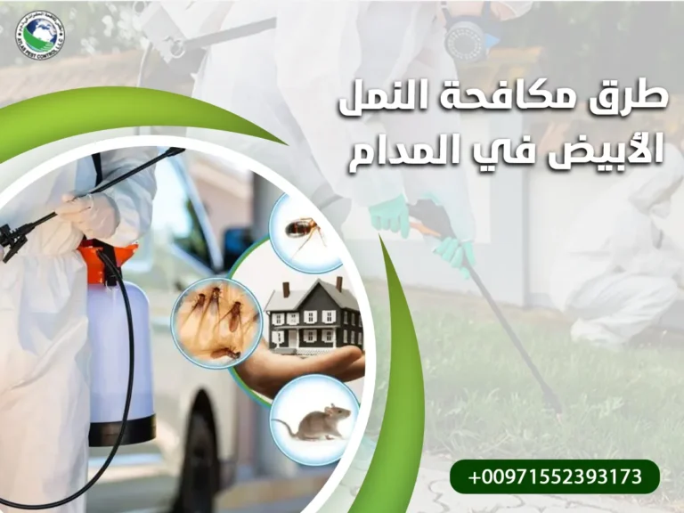 طرق مكافحة النمل الأبيض في المدام