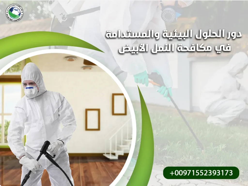 دور الحلول البيئية والمستدامة في مكافحة النمل الأبيض