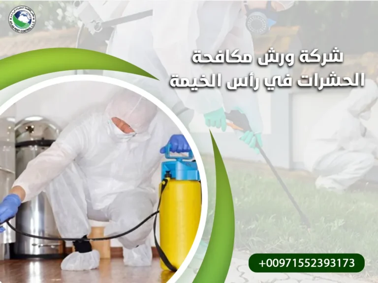 شركة رش مكافحة الحشرات في رأس الخيمة