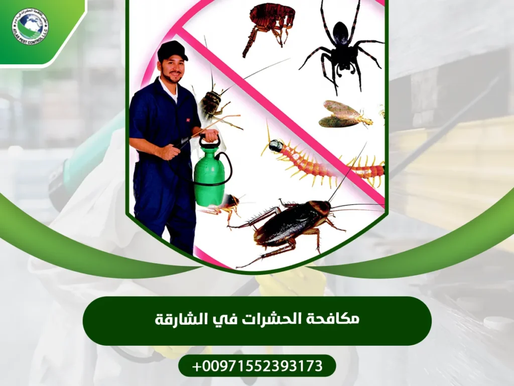 مكافحة الحشرات في الشارقة