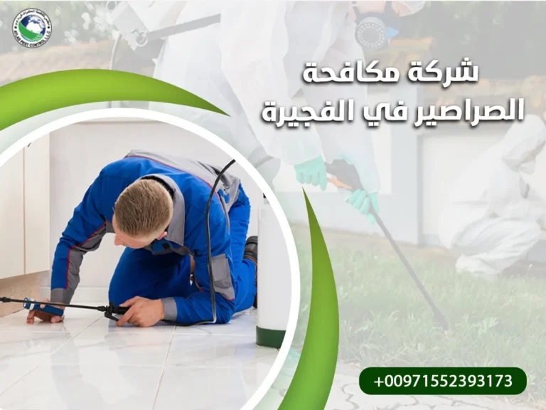 شركة مكافحة الصراصير في الفجيرة