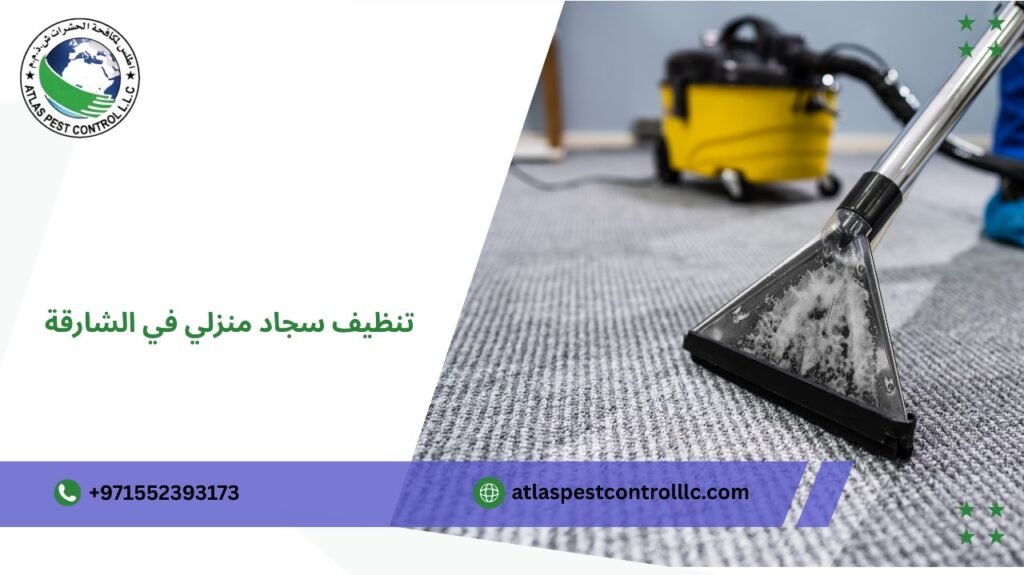 أفضل خدمة تنظيف سجاد منزلي في الشارقة