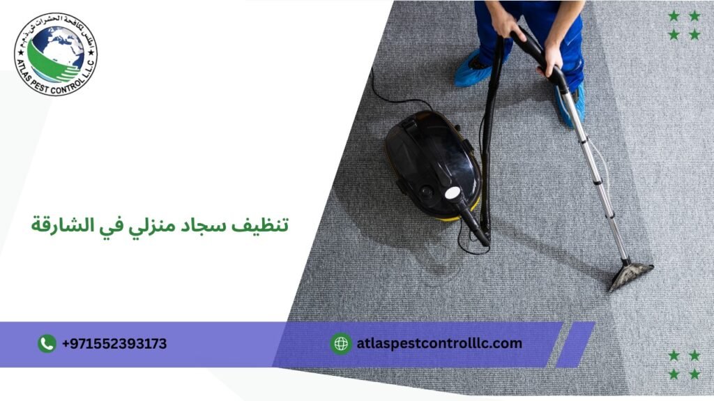 فريق متخصص لتنظيف السجاد المنزلي بالشارقة