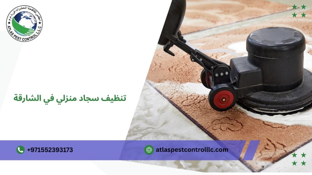 تنظيف سجاد منزلي بأسعار مناسبة في الشارقة