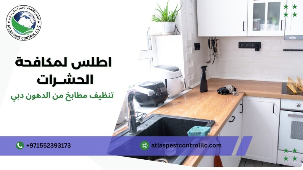 خطوات تنظيف مطابخ من الدهون في دبي
