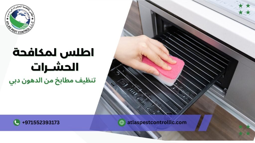 أخطاء شائعة عند تنظيف مطابخ من الدهون في دبي