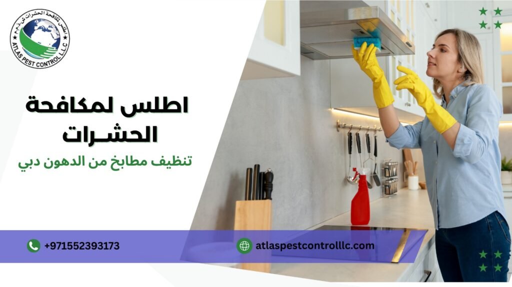 نصائح فعّالة لتنظيف مطابخ من الدهون في دبي
