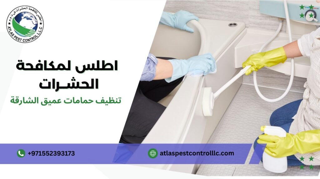 مزايا تنظيف حمامات عميق الشارقة