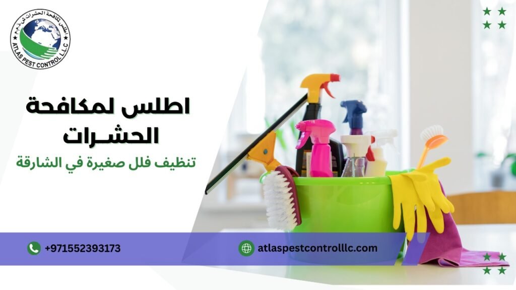 مميزات تنظيف فلل صغيرة في الشارقة