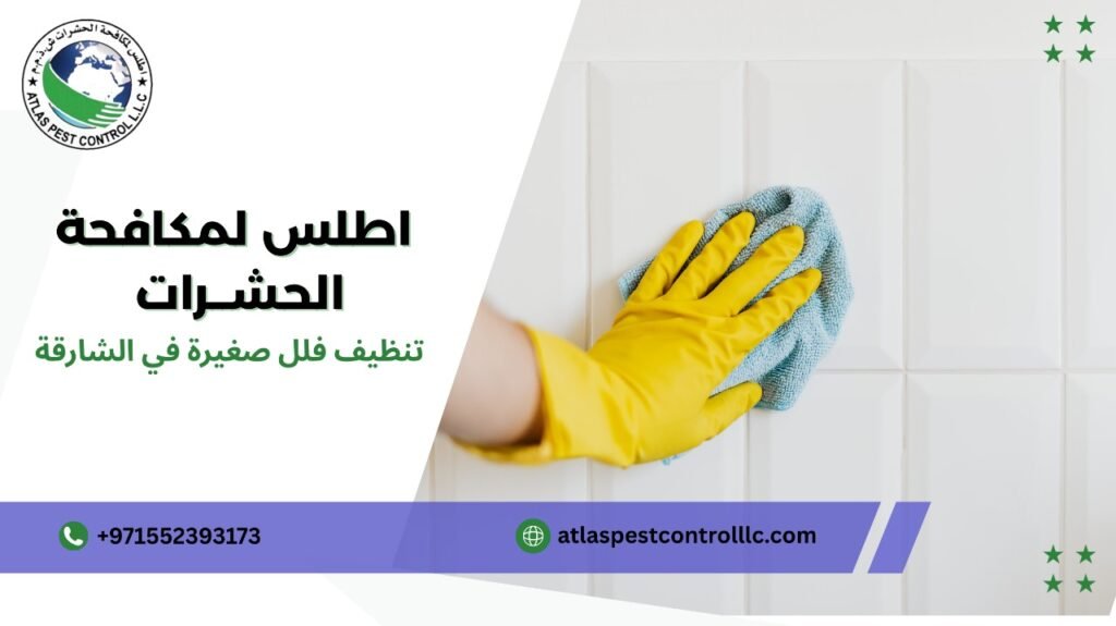 خطوات تنظيف فلل صغيرة في الشارقة
