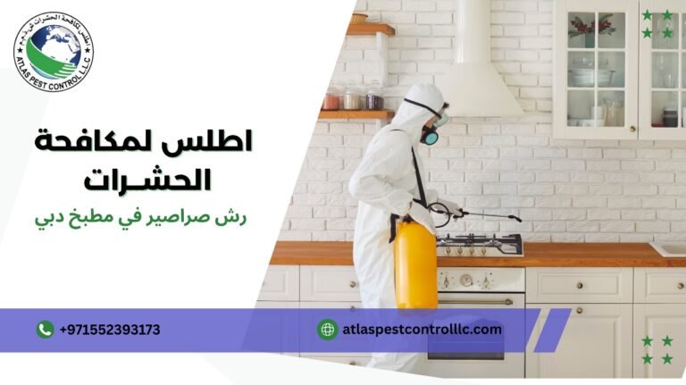 رش صراصير في مطبخ دبي