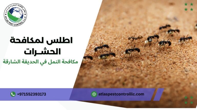 مكافحة النمل في الحديقة بالشارقة