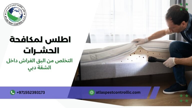 التخلص من بق الفراش داخل الشقة في دبي