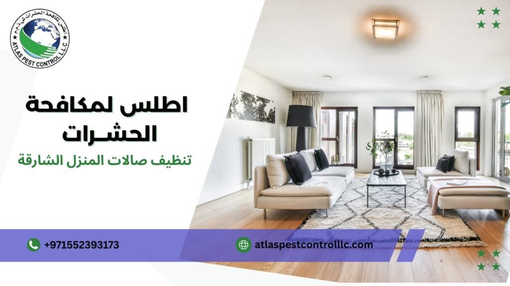 كيفية تجنب أخطاء تنظيف صالات المنزل الشارقة