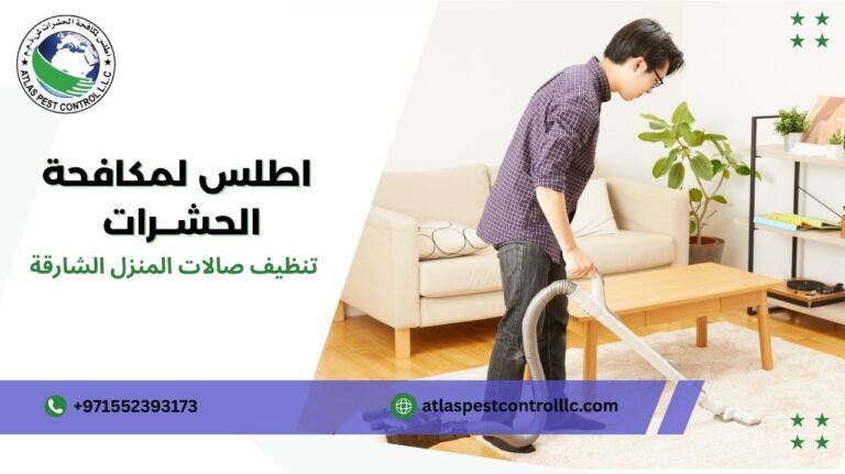 تنظيف صالات المنزل الشارقة