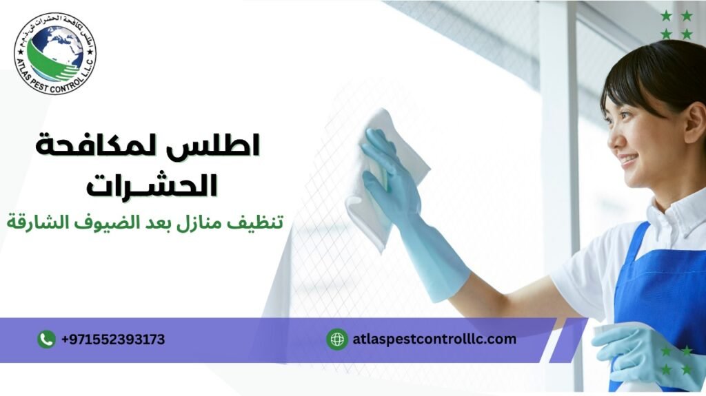 كيفية تجنب أخطاء تنظيف منازل بعد الضيوف الشارقة