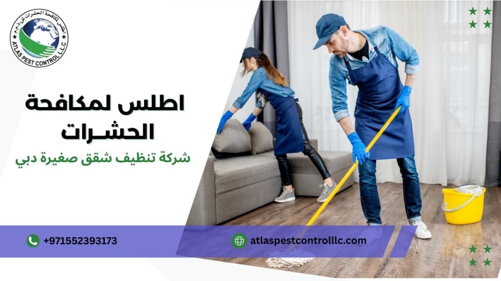 شركة تنظيف شقق صغيرة دبي