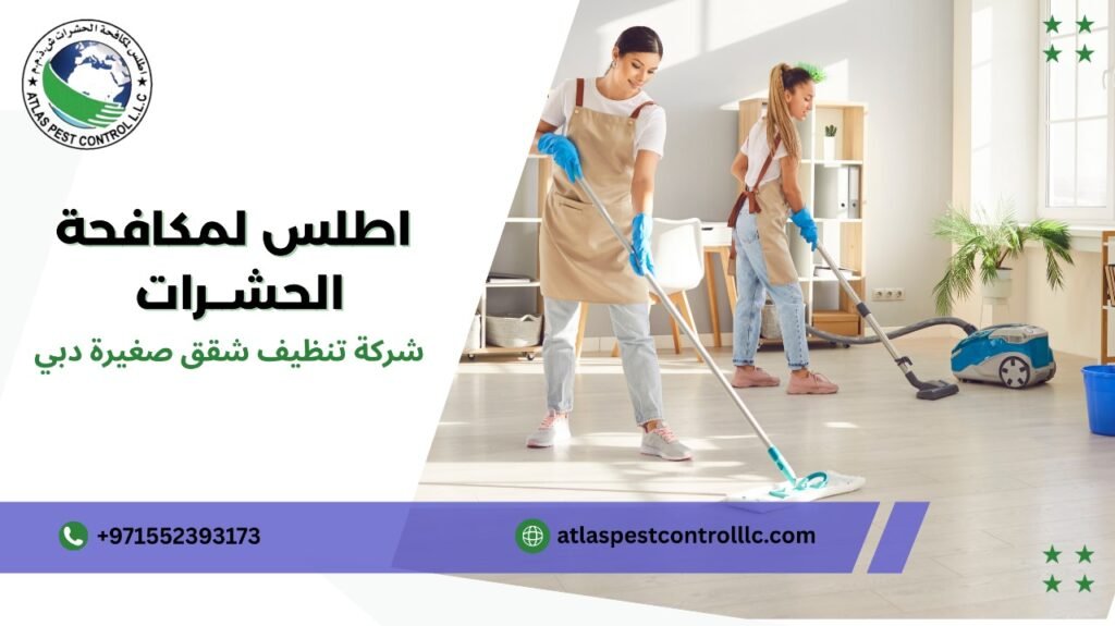 مزايا شركة تنظيف شقق صغيرة دبي
