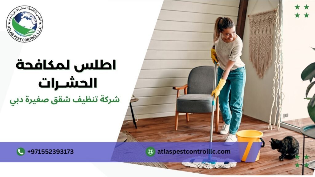 نصائح شركة تنظيف شقق صغيرة دبي